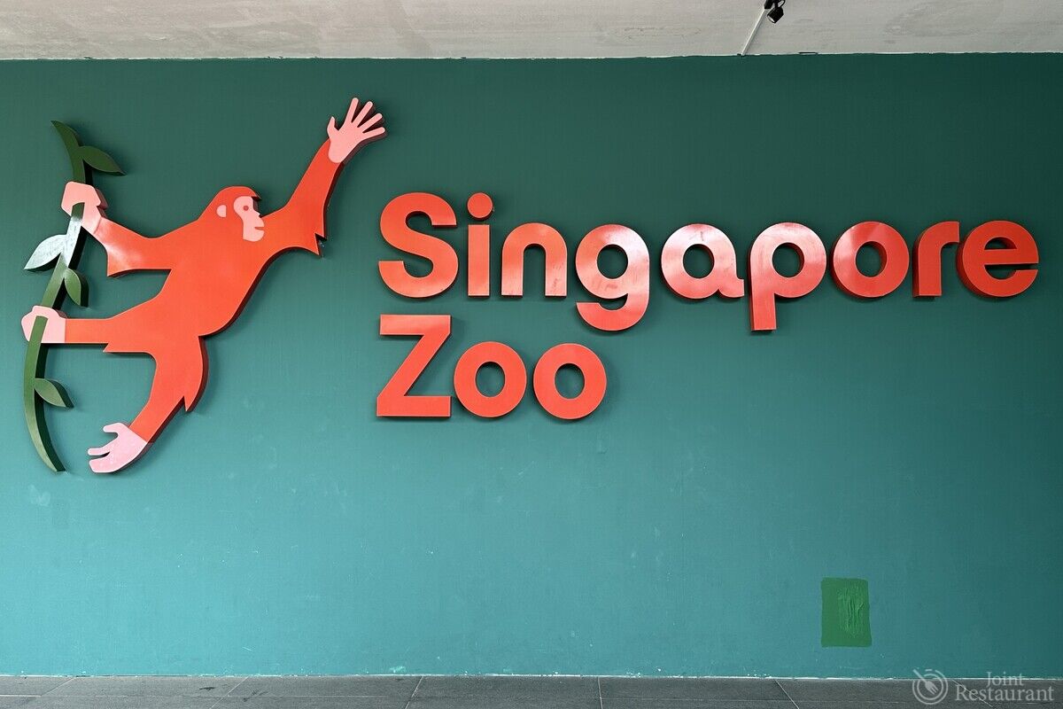 子連れシンガポール】6歳児と巡るシンガポール動物園ガイド